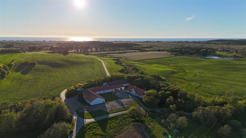 estate