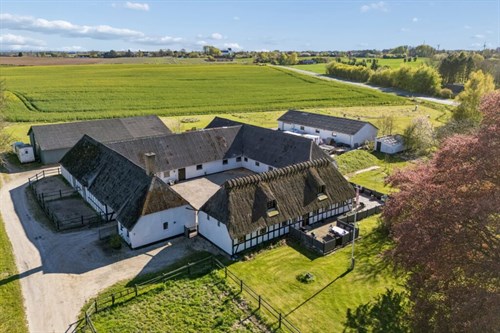 estate