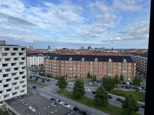 estate