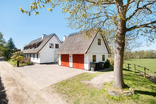estate