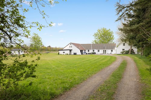 estate