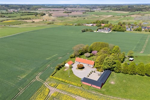 estate
