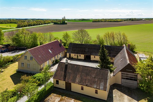 estate