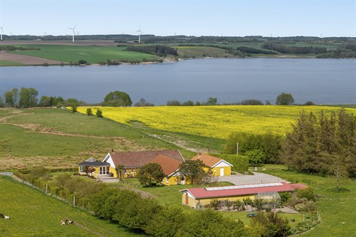 estate
