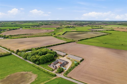 estate