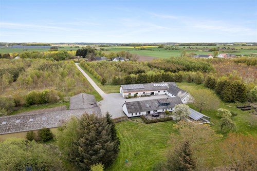 estate