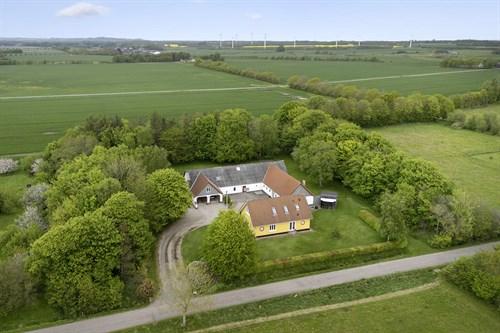 estate