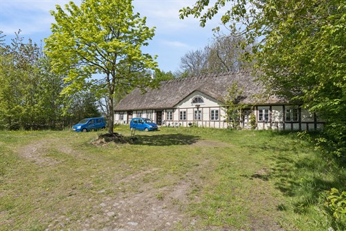 estate