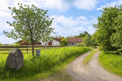 estate