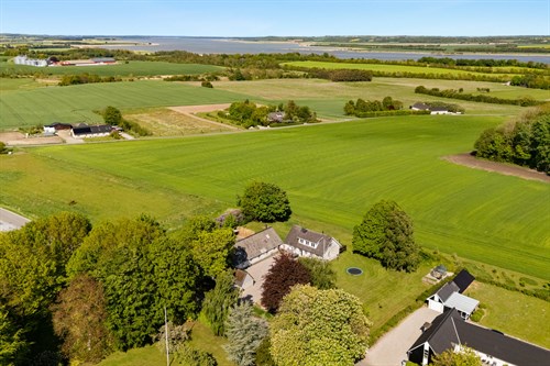 estate
