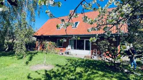 estate