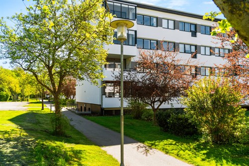 estate