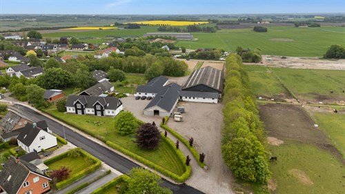 estate