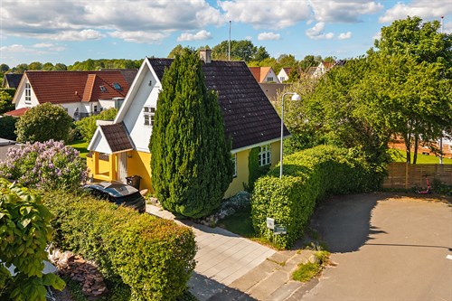 estate