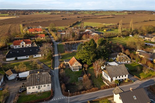 estate