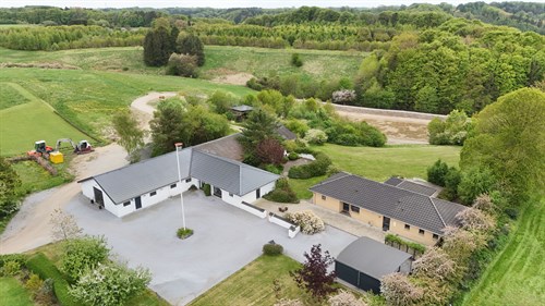 estate