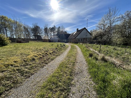 estate