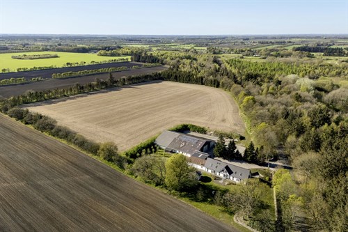 estate