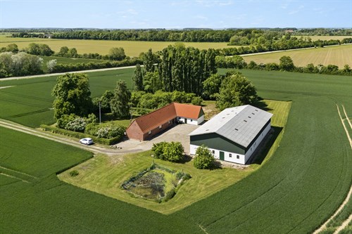 estate