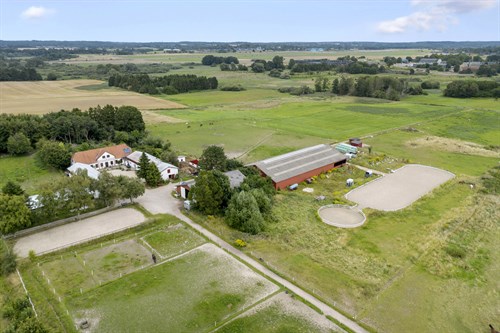 estate