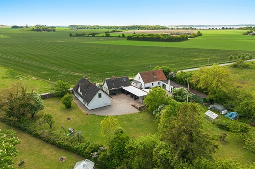 estate