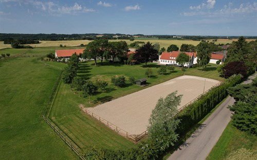 estate