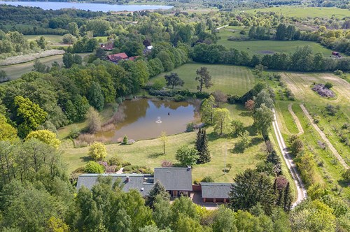 estate