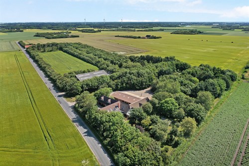 estate