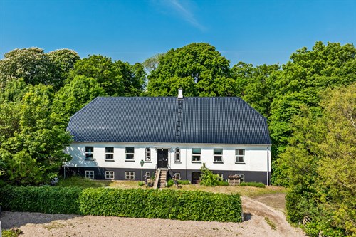 estate