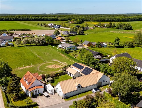 estate