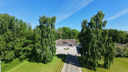 estate