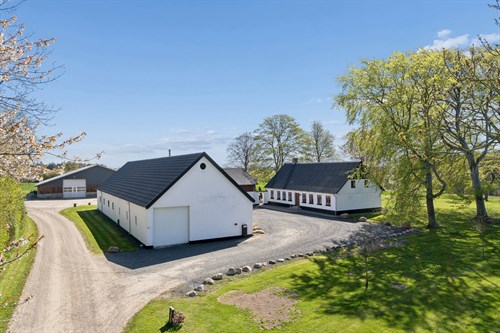 estate