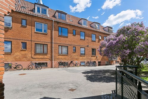 estate