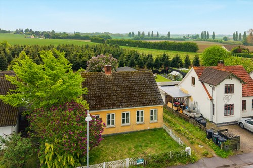 estate