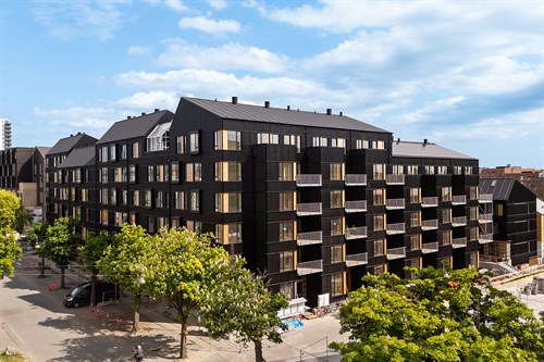 estate
