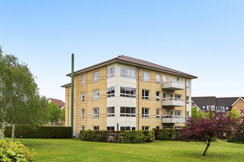 estate