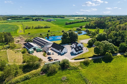 estate
