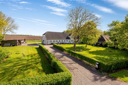 estate
