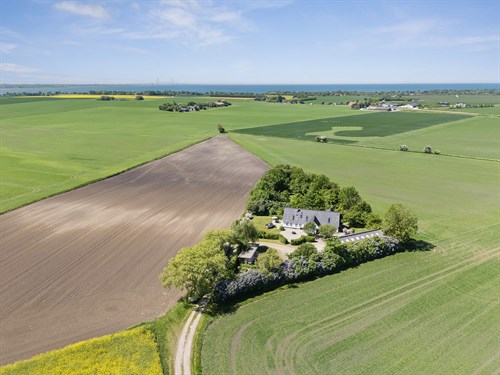 estate