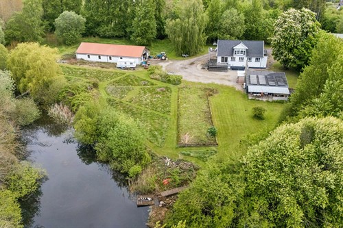 estate