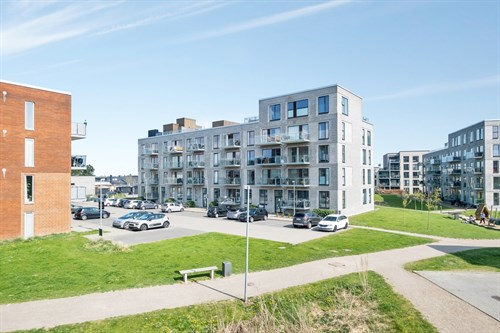estate