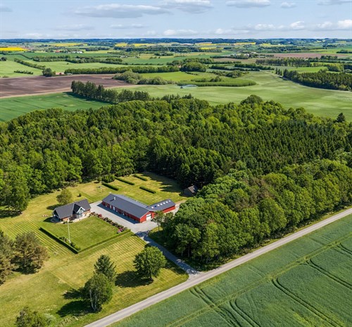 estate
