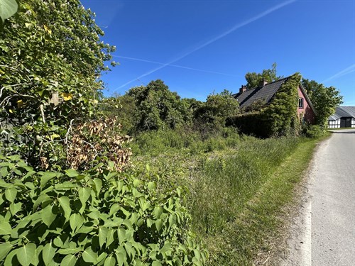 estate
