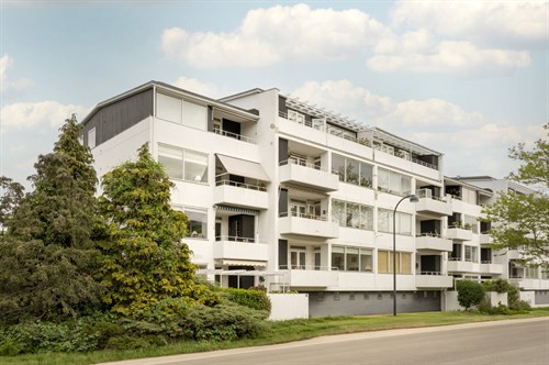estate