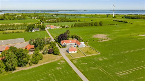 estate