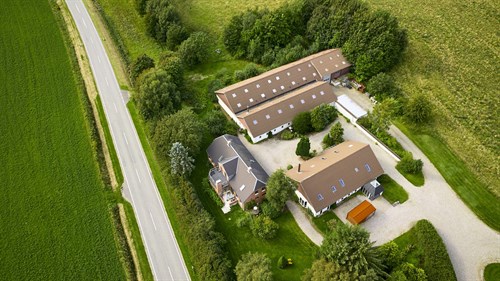 estate