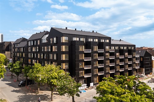 estate