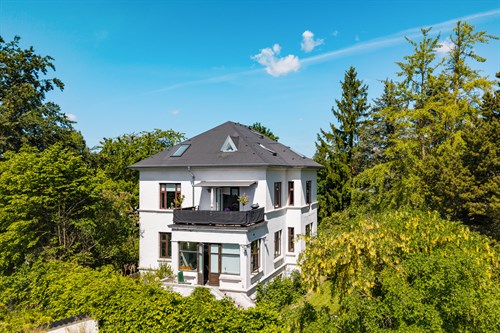 estate