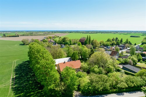 estate