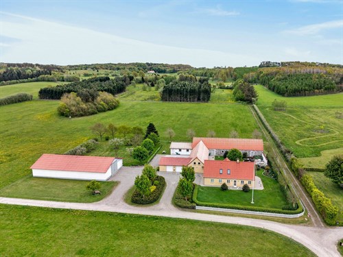 estate